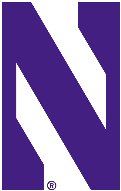 Northwestern Wildcats 1981-Pres Alternate Logo v4 iron on transfers for T-shirts